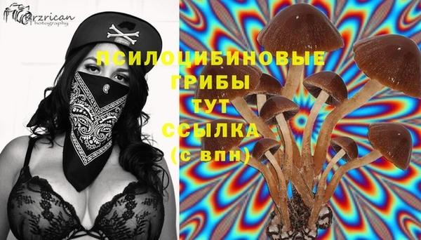 кокс Липки